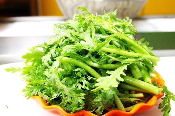 茼蒿可以天天吃吗 茼蒿哺乳期能吃吗 茼蒿可以天天吃吗 茼蒿哺乳期能吃吗