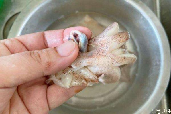 鱿鱼的处理方法 鱿鱼应该怎么处理 鱿鱼的处理方法 鱿鱼应该怎么处理