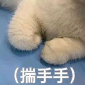 ​昆山城西这所牛校，实行“小班化、双师制教育模式”