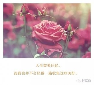 ​何红雨 ｜有关花卉的诗词