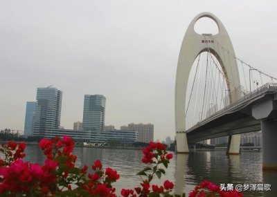 ​造型独特美观的广州猎德大桥
