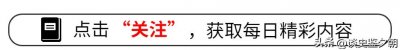 ​49岁的董卿从央视一姐到销声匿迹，究竟做了什么不被原谅的事呢