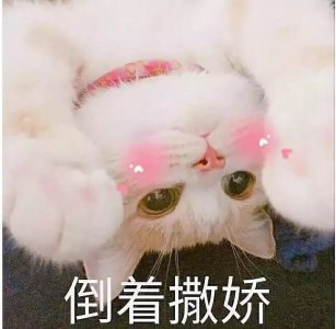 ​网红火锅蘸料，还有哪些蘸料是火锅绝配呢？