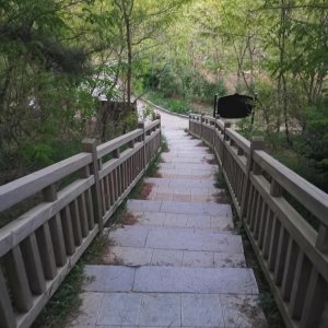 ​大连属于东北
