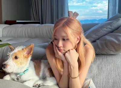 ​结婚40周年是什么婚