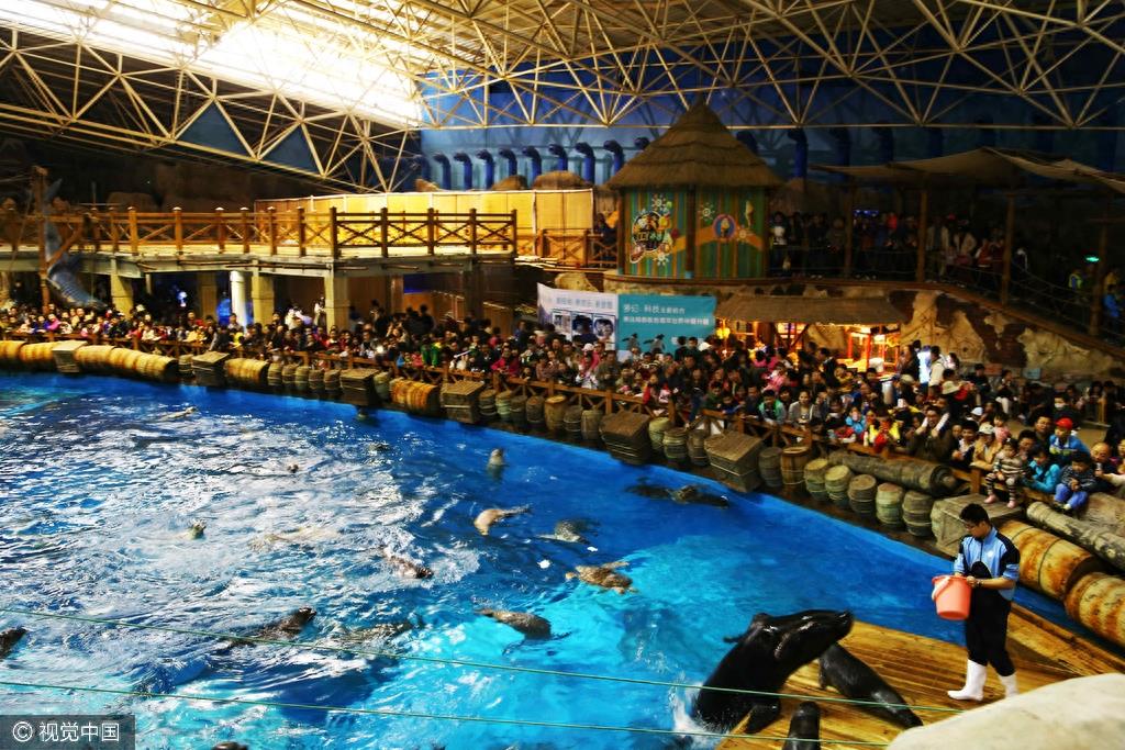 山东青岛:五一节假日 极地海洋世界游客爆棚