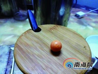 ​海口市民买海螺买到了“龙珠” 经鉴定系美乐珠