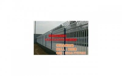 ​尿酸高了怎么办 有利于降低尿酸的四种方法