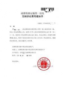​“成都地铁被诬告偷拍案”当事人：二审已被受理