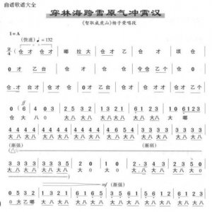 ​穿林海跨雪原歌词（穿林海跨雪原歌词是什么）