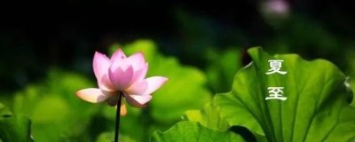 ​夏至是什么意思