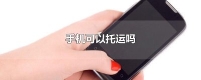 ​手机可以托运吗