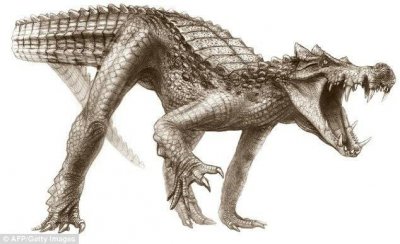 ​野猪鳄：长着野猪獠牙的白垩纪鳄鱼
