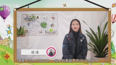 ​桑葚干泡水一天需几粒