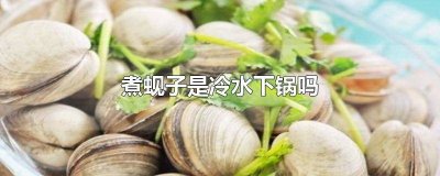 ​煮蚬子什么水下锅 煮蚬子是开水下锅还是冷水