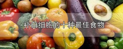 ​补白细胞的十种最佳食物紫河车 补白细胞的十种最佳食物是什么