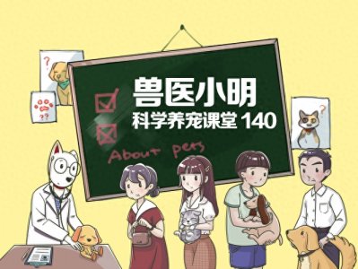 狗证,作为狗狗的身份证,在实际生活中究竟有何用处呢?