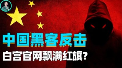 ​痛苦！中国黑客联合反击，攻占数十家美国官网，只为捍卫祖国尊严