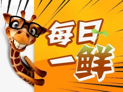 ​男子相亲36年仍单身，红娘：要求太高了！