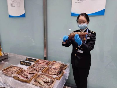 ​海关查获 47 千克冰鲜虾！网友评论亮了