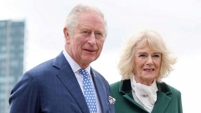 英国新任国王查尔斯简介（英王储查尔斯和威廉王子用昵称唤爱人）(3)