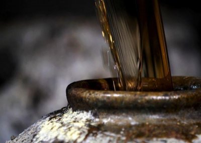 ​蛇酒中泡12个月，开瓶跑出咬死人，为何？蛇频现，能抓蛇泡酒吗？