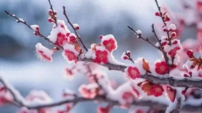 ​今日立春，就怕立春下大雪！有啥征兆？