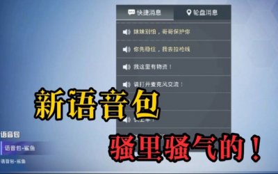 ​和平精英语音包在哪里设置(和平精英语音包在哪里设置更换)