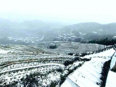 ​广西也能看雪桂林、柳州、河池贺州等地大雪纷飞天寒地冻模式开启