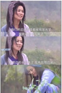 ​别再看王宝钏挖野菜啦，来看看王宝钏背后的真实历史