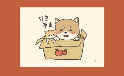 ​给恋人的睡前爱情故事小兔子「5篇」