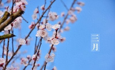 ​三月十五的农谚与气候：春日里的期盼，风与雨的预言，丰收的谜语
