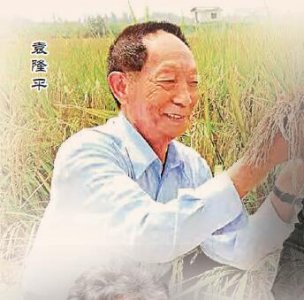 ​袁隆平个人资料(袁隆平：为了让所有人远离饥饿)