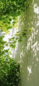 ​养眼壁纸(48)