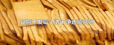 ​豆腐干发霉可以吃吗 豆腐干发霉了还能吃吗
