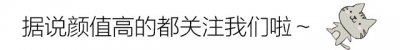 ​洋桔梗怎么养？掌握这些养护攻略，让家中四季如春，花海常在