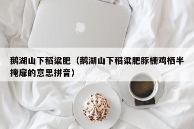 ​鹅湖山下稻粱肥（鹅湖山下稻粱肥豚栅鸡栖半掩扉的意思拼音）