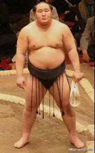 ​朝青龙：蒙古出生，日本相扑横纲，与美艳妻子离婚，现为成功商人
