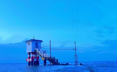 ​探索上海隐秘世外桃源：横沙岛，独特魅力吸引万千游客