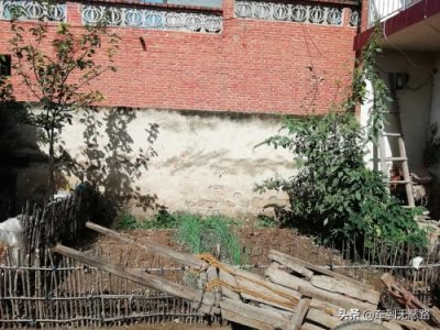 ​穷在闹市无人问 富在深山有远亲