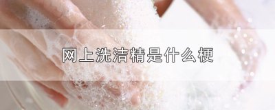 ​网上洗洁精是什么梗