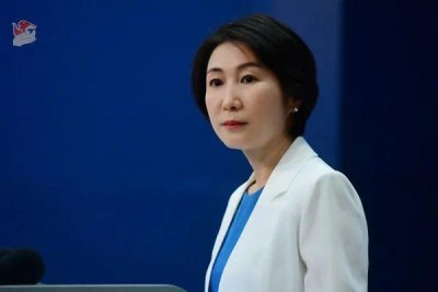 ​李鸿忠是否会见朝鲜领导人？外交部回应