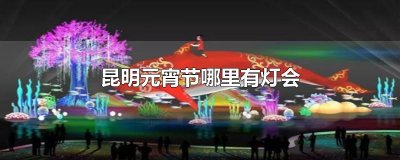 ​昆明元宵节哪里有灯会