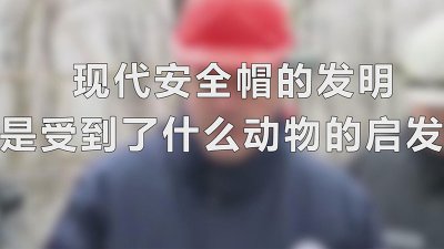 ​现代安全帽的发明是受到了什么动物的启发