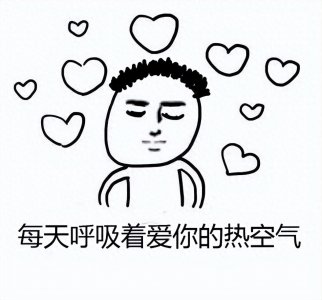 ​夏日天热表情包