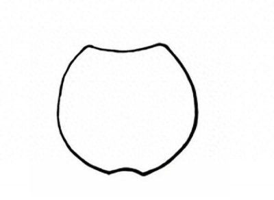 ​绘画教程：又大又红的苹果，香甜可口，孩子们会画了吗