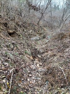 ​旅顺马营后山上有个狼窝