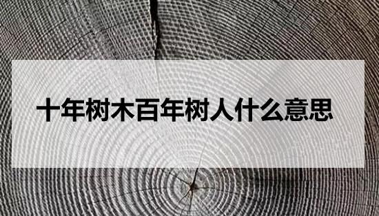十年树木百年树人的两个树分别是什么意思(十年树木百年树人的意思)