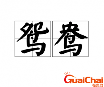 ​鸳鸯是什么？鸳鸯有什么意思？