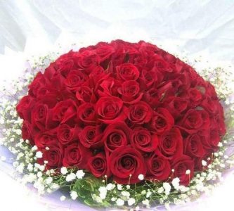 ​送玫瑰花朵数的含义，微信表情送玫瑰朵数的含义？